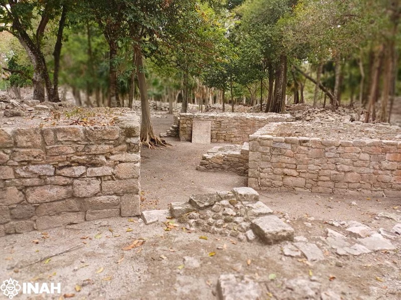 Códice del ska