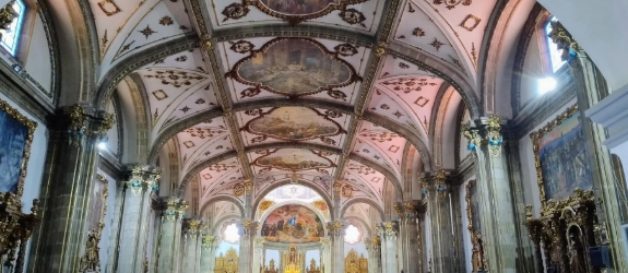 Coyoacan Mayo2