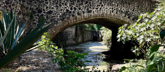 JULIO1 COYOACAN