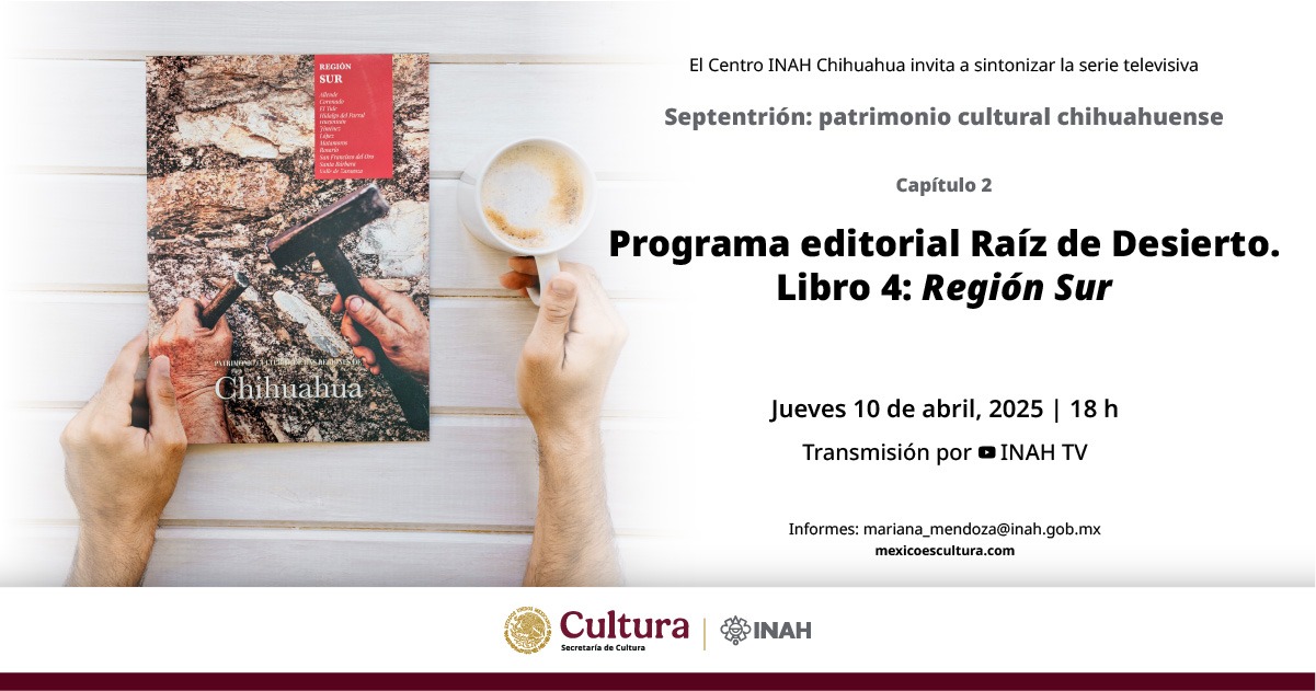 20250410 banner Libro4RegionSur