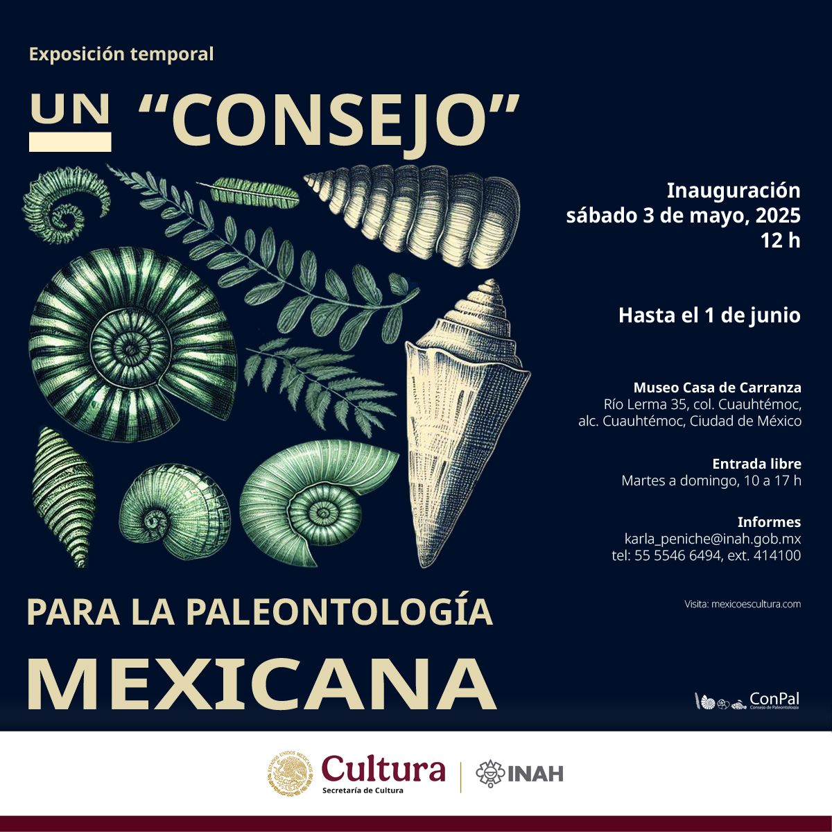 20250502 banner UnConsejo