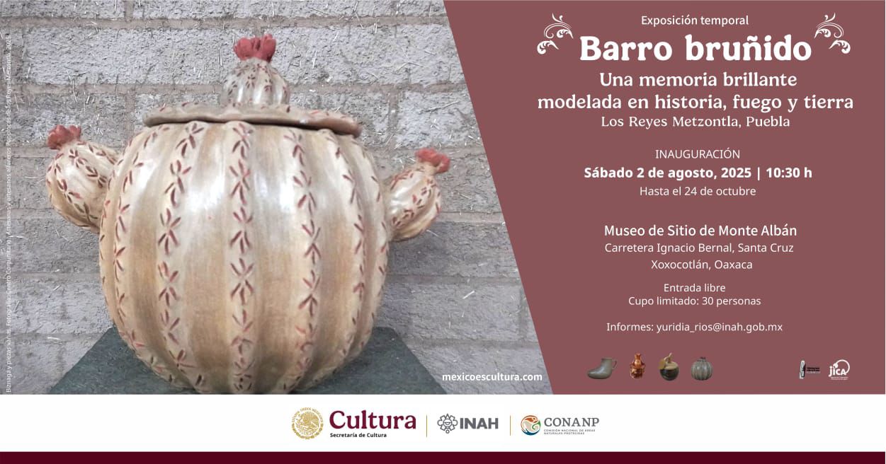 20250730 banner BarroBrunido