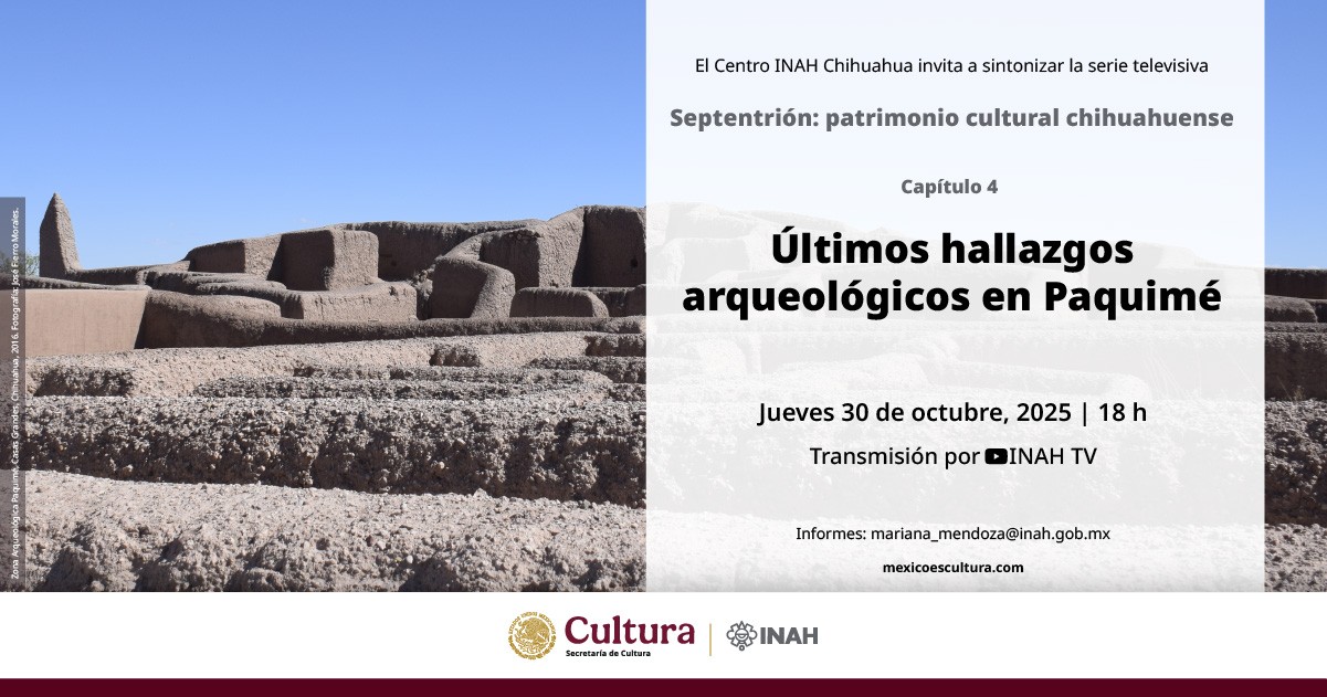 20251009 banner UltimosHallazgos