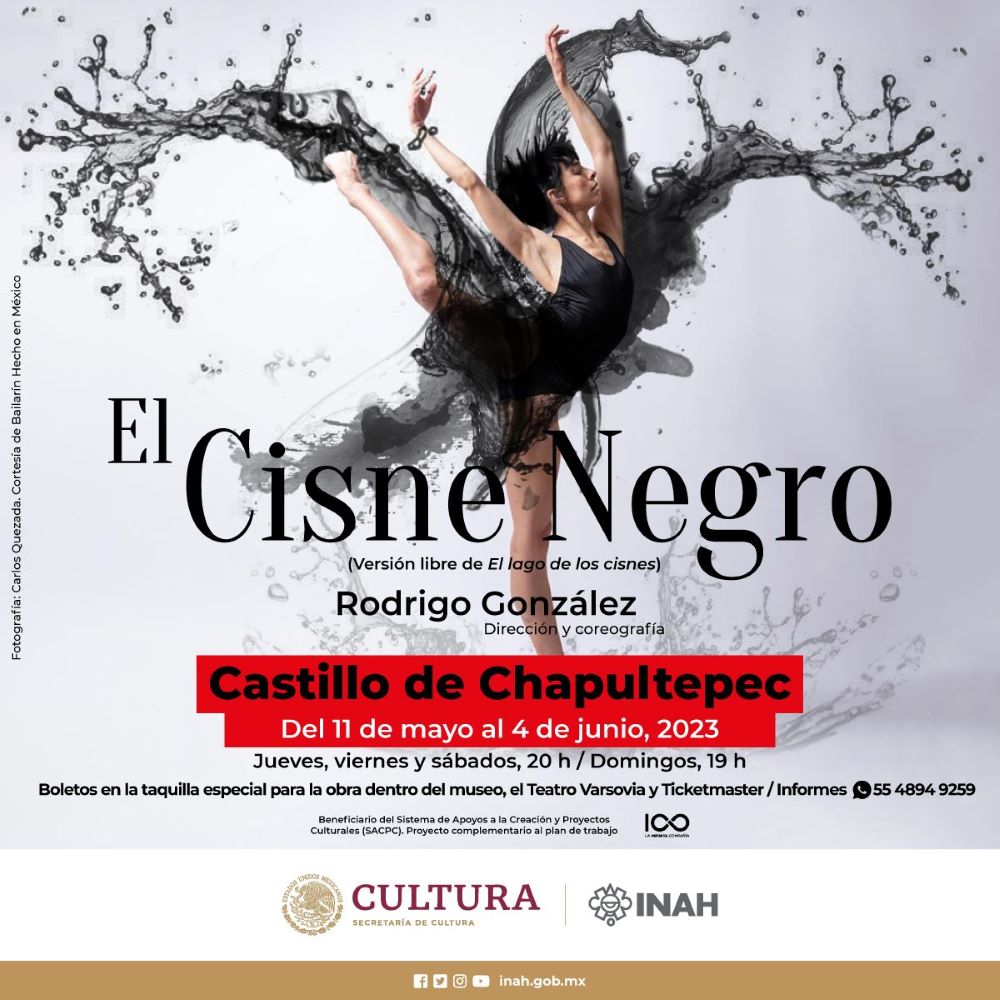 La Noche Del Cisne: Mexico City's Secret Cabaret