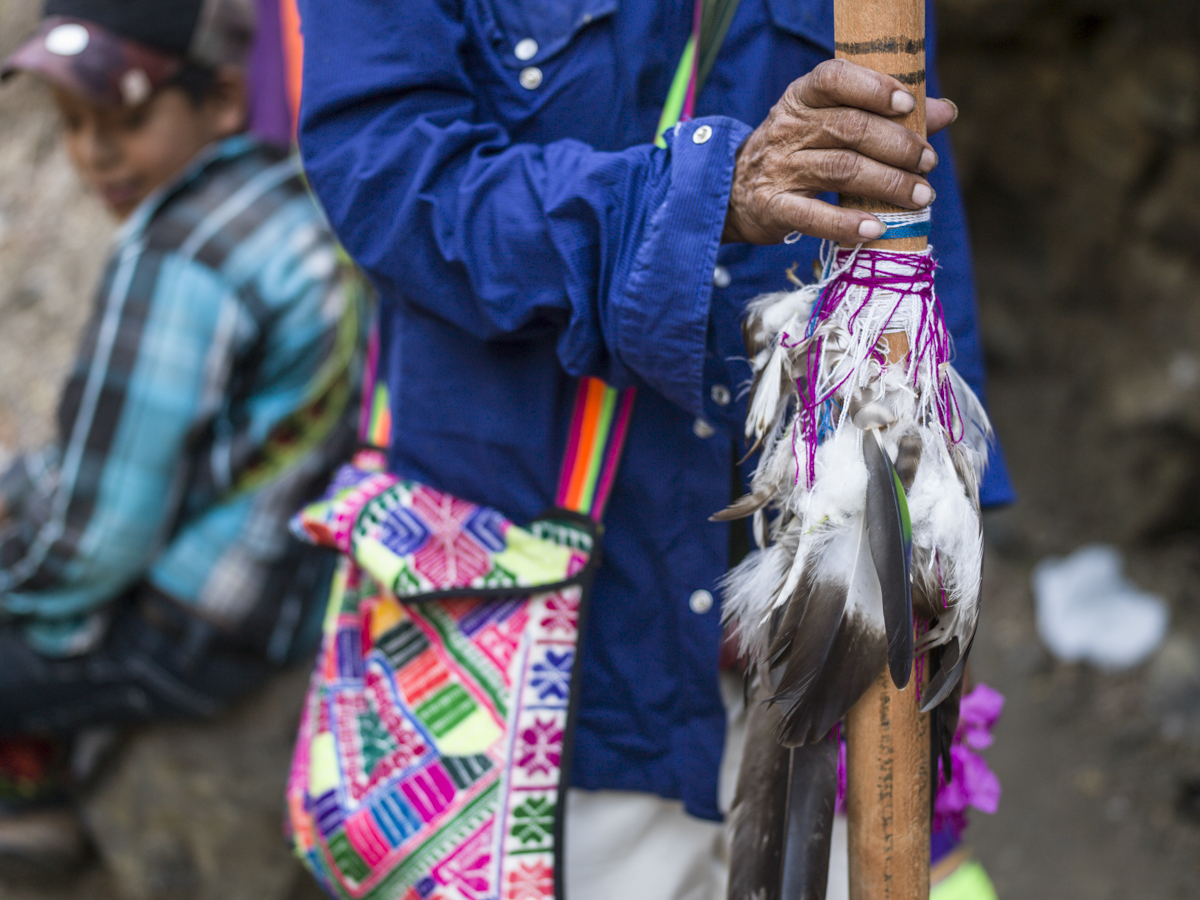 Plumas