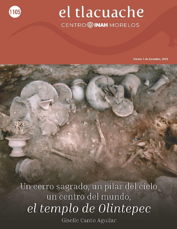 Tlacuache 1105