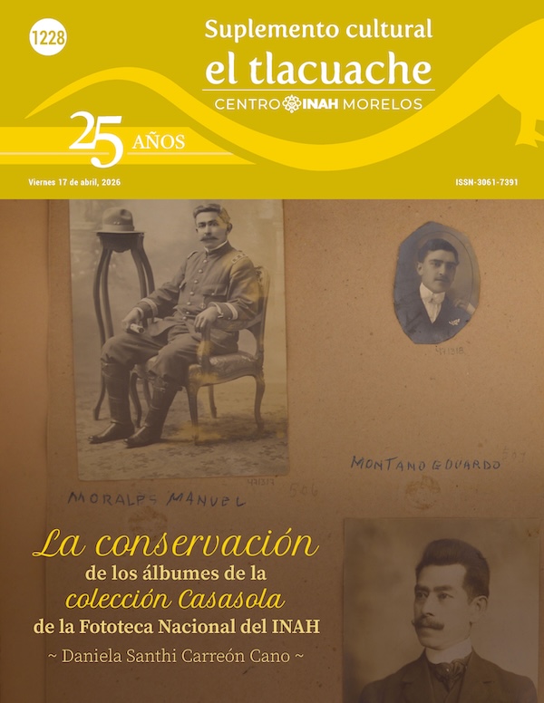 Tlacuache 1211