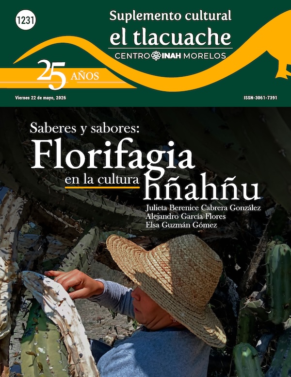 Tlacuache 1211