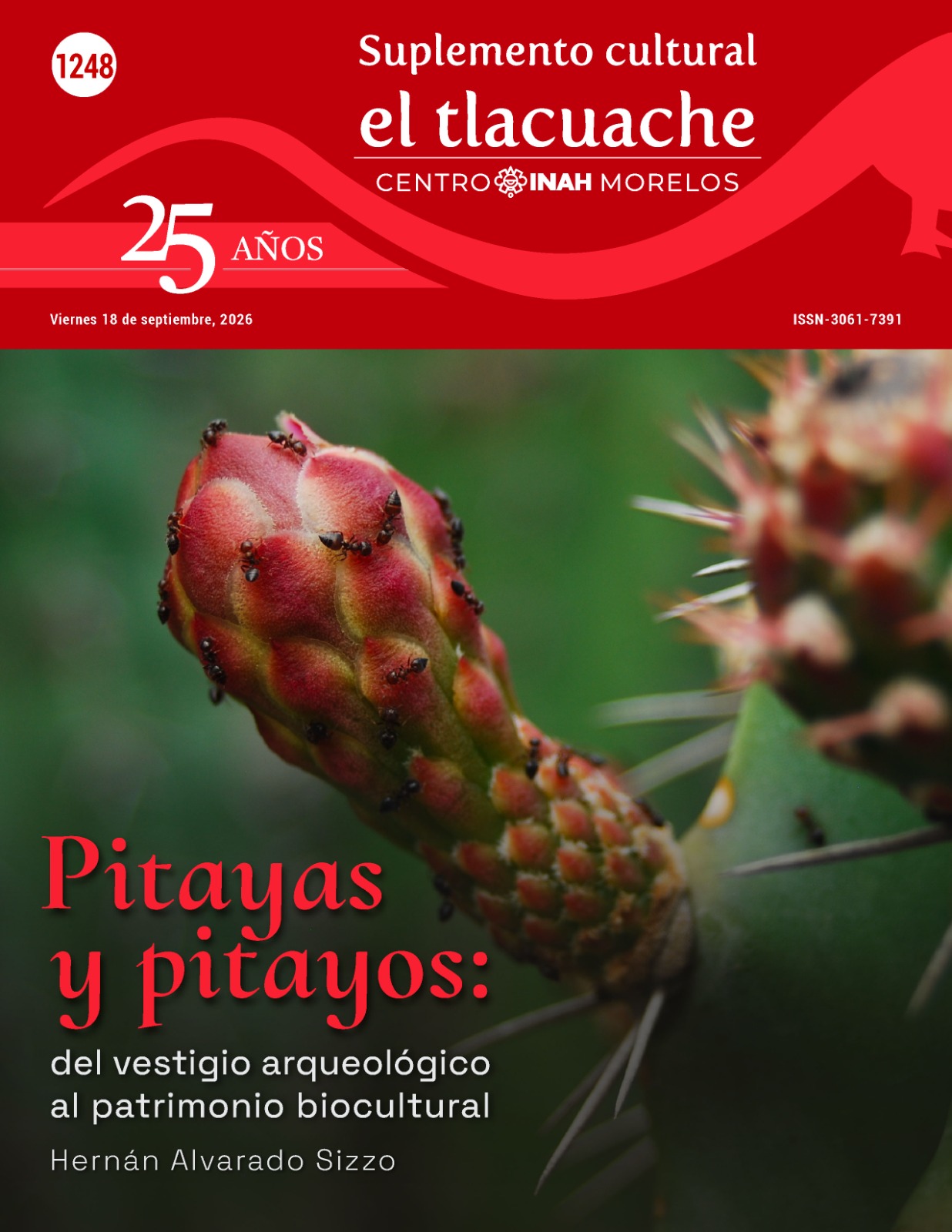 Tlacuache 1248
